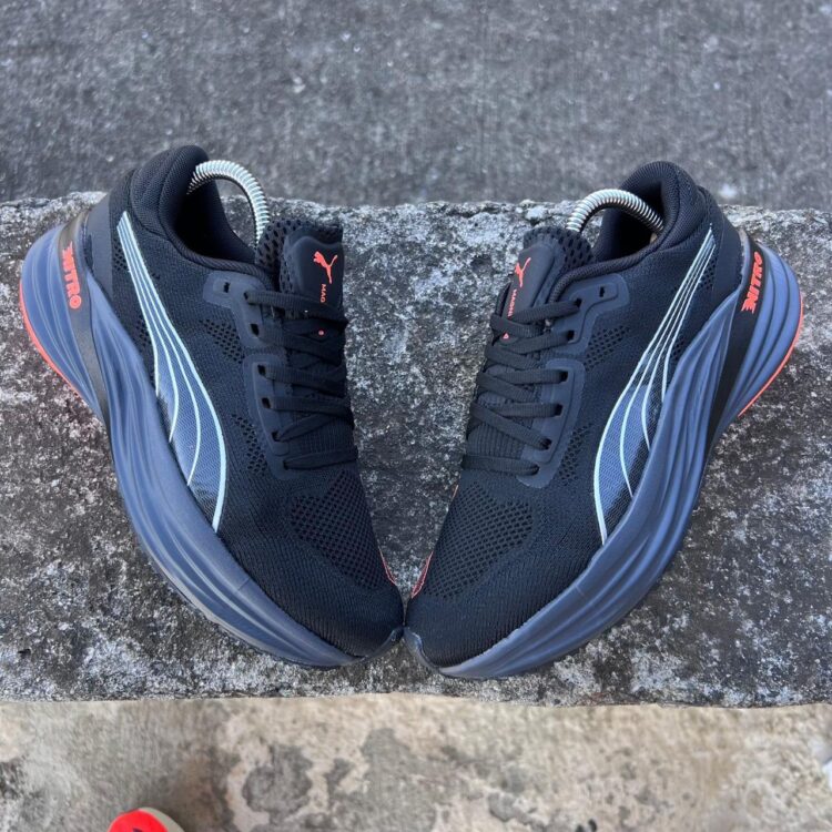 Puma - Image 3