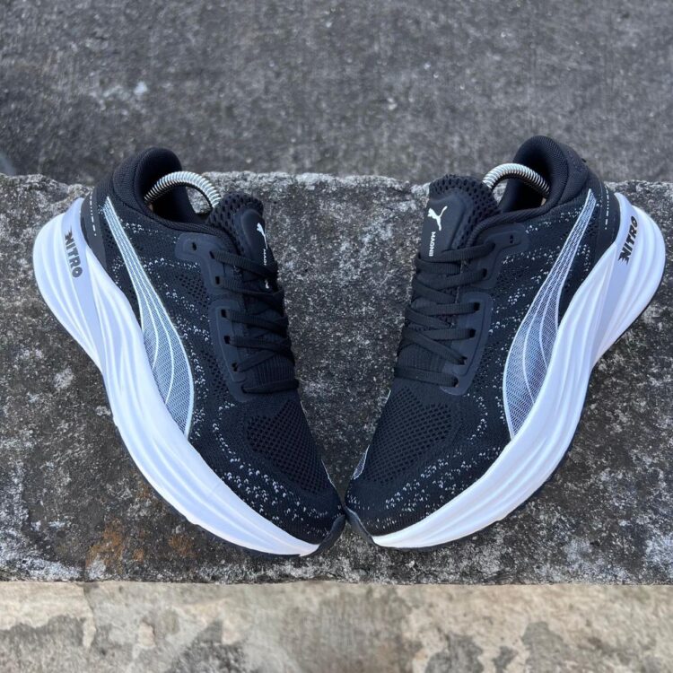 Puma - Image 4