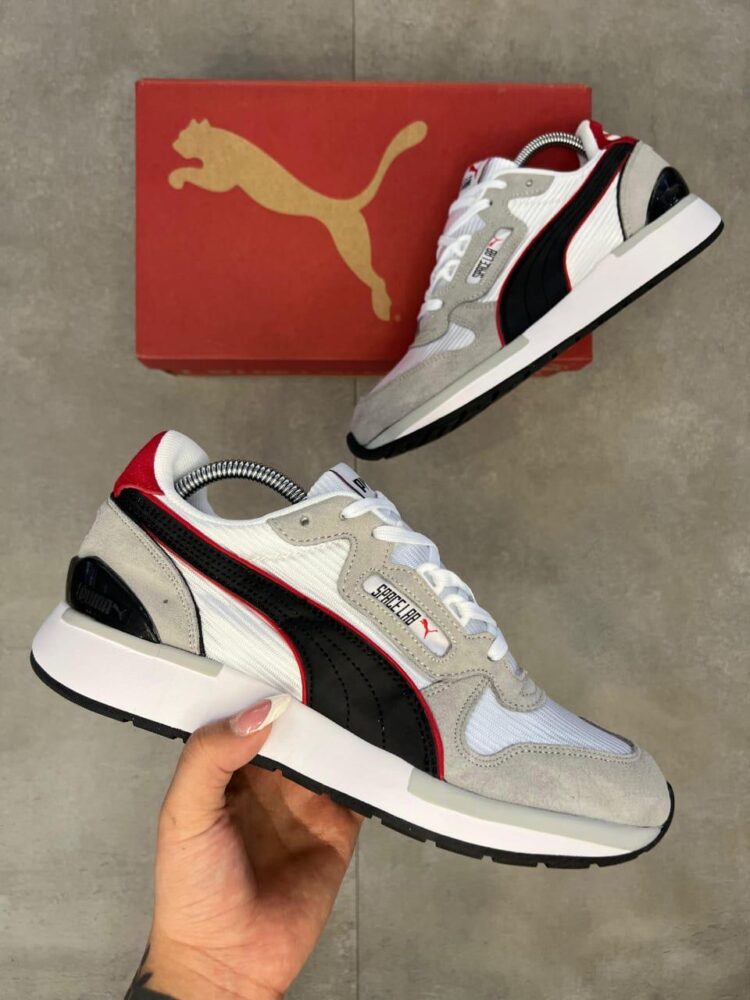 Puma - Image 2
