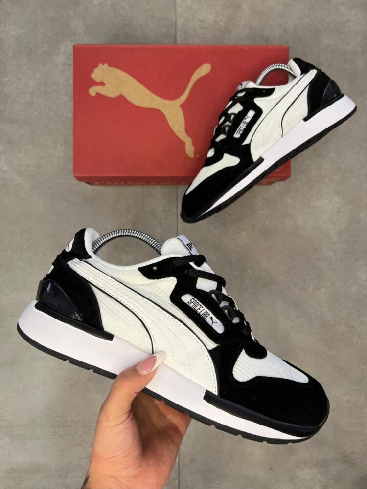 Puma - Image 3