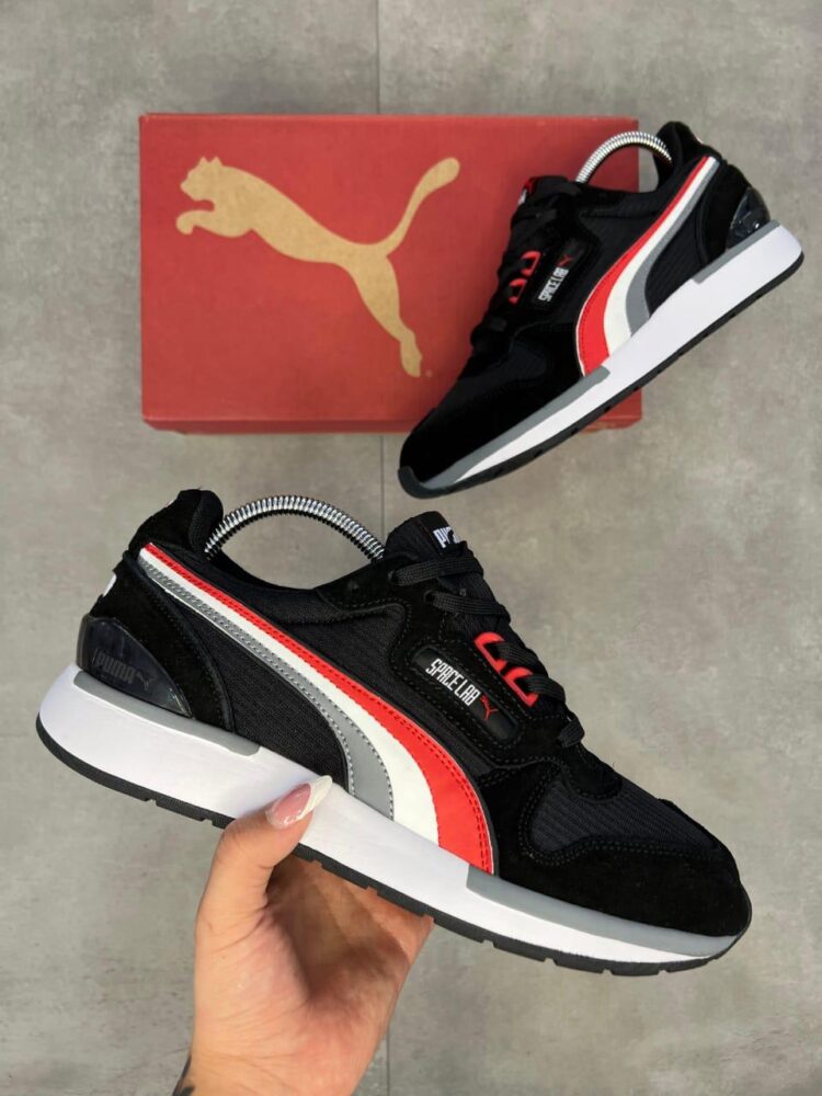 Puma - Image 4